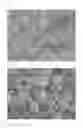 Fig. 09 - Manganese/nickel composite oxide particles and process for producing the manganese nickel composite oxide particles, positive electrode active substance particles for non-aqueous electrolyte secondary batteries and process for producing the positive electrode active substance particles, and non-aqueous electrolyte secondary battery
