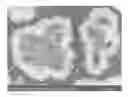 Fig. 01 - Nickel manganese composite hydroxide particles and manufacturing method thereof, cathode active material for a non-aqueous electrolyte secondary battery and manufacturing method thereof, and a non-aqueous electrolyte secondary battery