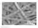 Fig. 01 - Nanofiber-nanowire composite and preparation method therefor