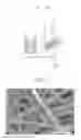 Fig. 03 - Nanofiber-nanowire composite and preparation method therefor