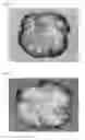 Fig. 02 - THREAD AND METHOD FOR PRODUCTION OF SAME