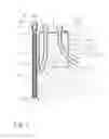 Fig. 02 - System and method for foundation of wellheads