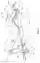 Fig. 04 - Opening and closing apparatus for vehicles