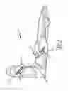 Fig. 02 - Corner key for extruded windows and doors