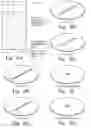 Fig. 09 - Method of Enhancing Fracture Complexity Using Far-Field Divert Systems