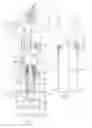 Fig. 02 - Injector assembly and method of using same