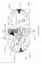 Fig. 03 - Controlled variable delivery external gear machine