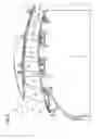 Fig. 03 - Sealing system for turbomachine compressor