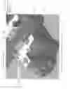 Fig. 03 - Oil filter/liquid indicator assembly