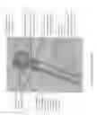 Fig. 04 - Oil filter/liquid indicator assembly