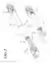 Fig. 03 - Steering apparatus for vehicle
