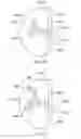 Fig. 22 - BRAKE PAD