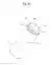 Fig. 22 - Disk brake for a utility vehicle