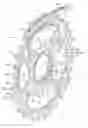 Fig. 01 - Bicycle sprocket