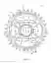 Fig. 07 - Bicycle sprocket