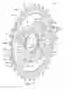 Fig. 13 - Bicycle sprocket
