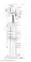 Fig. 02 - Telescoping pipe stand