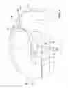 Fig. 05 - Metal sealing threaded (tube-o) fitting