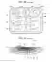Fig. 17 - Lighting device and headlight for vehicle