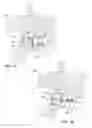 Fig. 02 - Semi-automatic firearm rapid-fire accessory