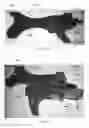 Fig. 12 - Semi-automatic firearm rapid-fire accessory