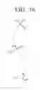 Fig. 17 - Flexible apparatus and method for controlling operation thereof