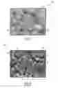 Fig. 08 - Alumina diffusion barrier for sensing elements