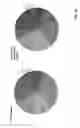 Fig. 20 - Devices for dissociating a biological tissue sample and methods of use thereof