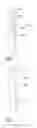 Fig. 07 - Apparatuses for heating microscope slides carrying specimens