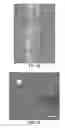 Fig. 19 - Lithographic systems and methods