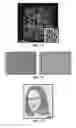 Fig. 30 - Lithographic systems and methods