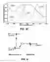 Fig. 04 - Nanofibril Materials for Highly Sensitive and Selective Sensing of Amines