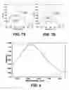 Fig. 06 - Nanofibril Materials for Highly Sensitive and Selective Sensing of Amines