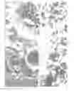 Fig. 05 - HERMETIC IMPLANTABLE SENSOR