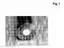 Fig. 02 - Monolithic sorbents having a metal cladding