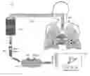 Fig. 01 - Quantification of inflammatory molecules in exhaled breath condensate using differential pulse voltammetry on reduced graphene oxide sensor