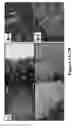 Fig. 04 - Methods and apparatus for modeling cancer metastasis in vitro