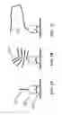 Fig. 02 - COMPOSITIONS FOR MULTIPLEX IMAGING USING LABELED NUCLEIC ACID IMAGING AGENTS