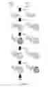 Fig. 06 - COMPOSITIONS FOR MULTIPLEX IMAGING USING LABELED NUCLEIC ACID IMAGING AGENTS