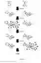Fig. 07 - COMPOSITIONS FOR MULTIPLEX IMAGING USING LABELED NUCLEIC ACID IMAGING AGENTS