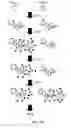 Fig. 08 - COMPOSITIONS FOR MULTIPLEX IMAGING USING LABELED NUCLEIC ACID IMAGING AGENTS