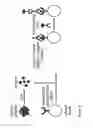 Fig. 06 - PLATELET ANALYSIS SYSTEM