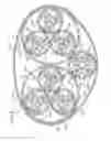 Fig. 10 - Electric equipment