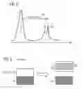 Fig. 03 - MR imaging with signal suppression of a spin series