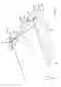 Fig. 07 - Synthetic aperture imaging assisted by three-dimensional scanning imaging for height reconstruction