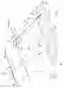 Fig. 08 - Synthetic aperture imaging assisted by three-dimensional scanning imaging for height reconstruction