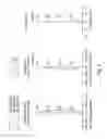 Fig. 09 - Image capturing lens assembly, imaging apparatus and electronic device