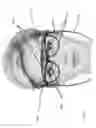 Fig. 12 - Releasably attachable augmented reality system for eyewear
