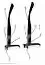Fig. 17 - Releasably attachable augmented reality system for eyewear