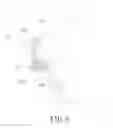 Fig. 06 - Eyeglasses having simulated monolithic lens